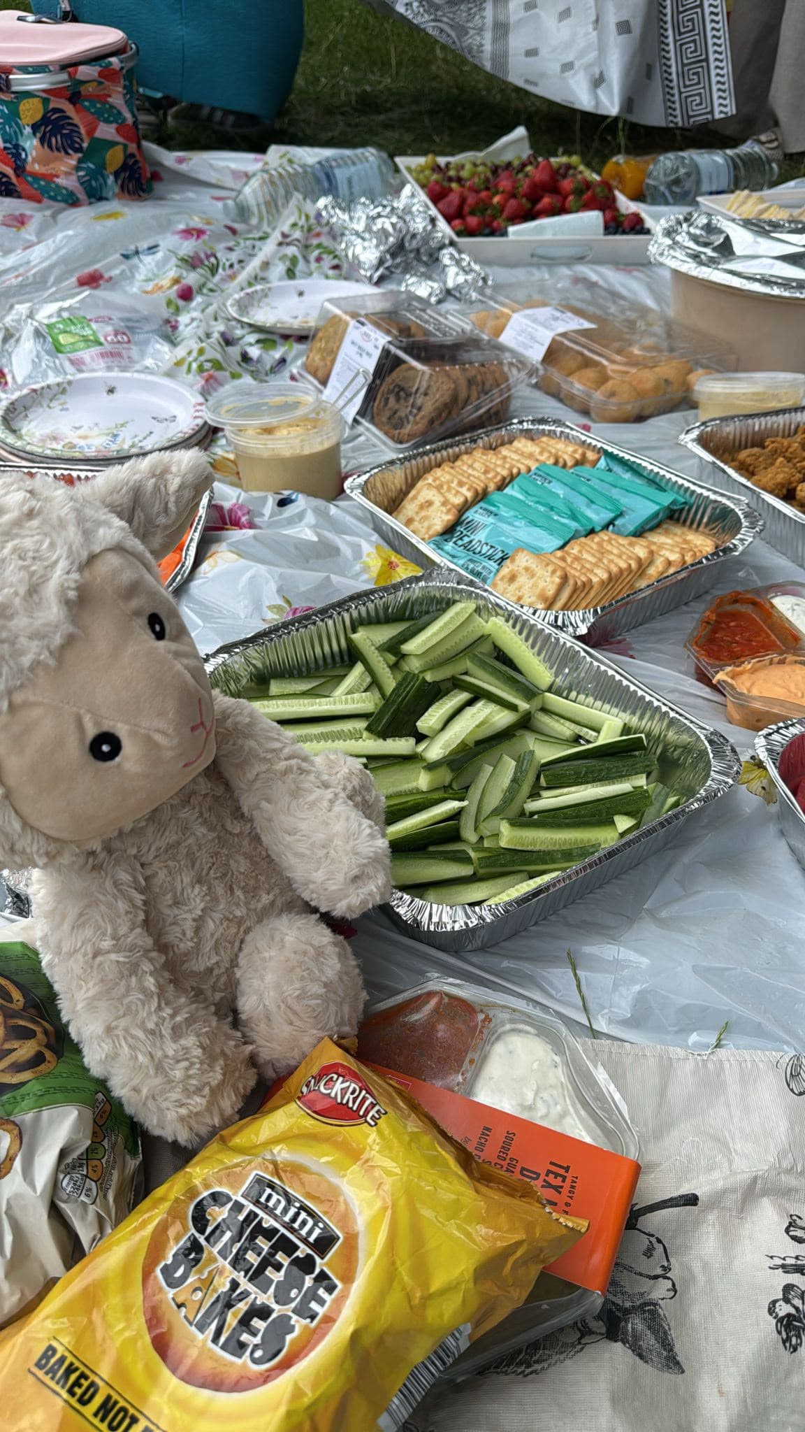 Teddy Bear Picnic Fun